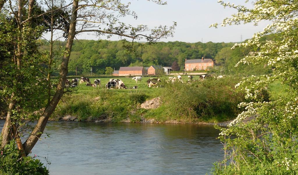 Hotel Bach Y Graig à St Asaph Extérieur photo
